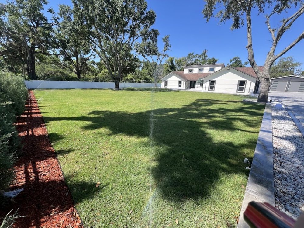 Yard after sod installation - lush green lawn