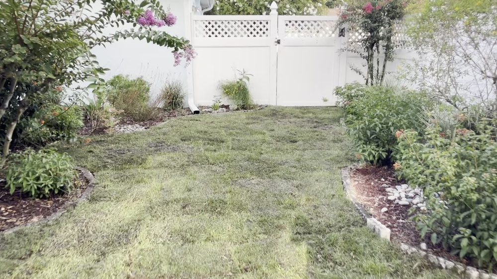 Backyard after full sod replacement - complete new lawn