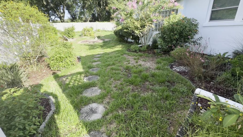 Backyard before full sod replacement - torn up dirt